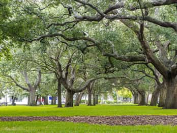 White Point Garden