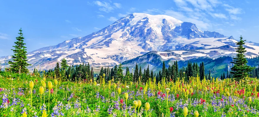 Mount Rainier National Park