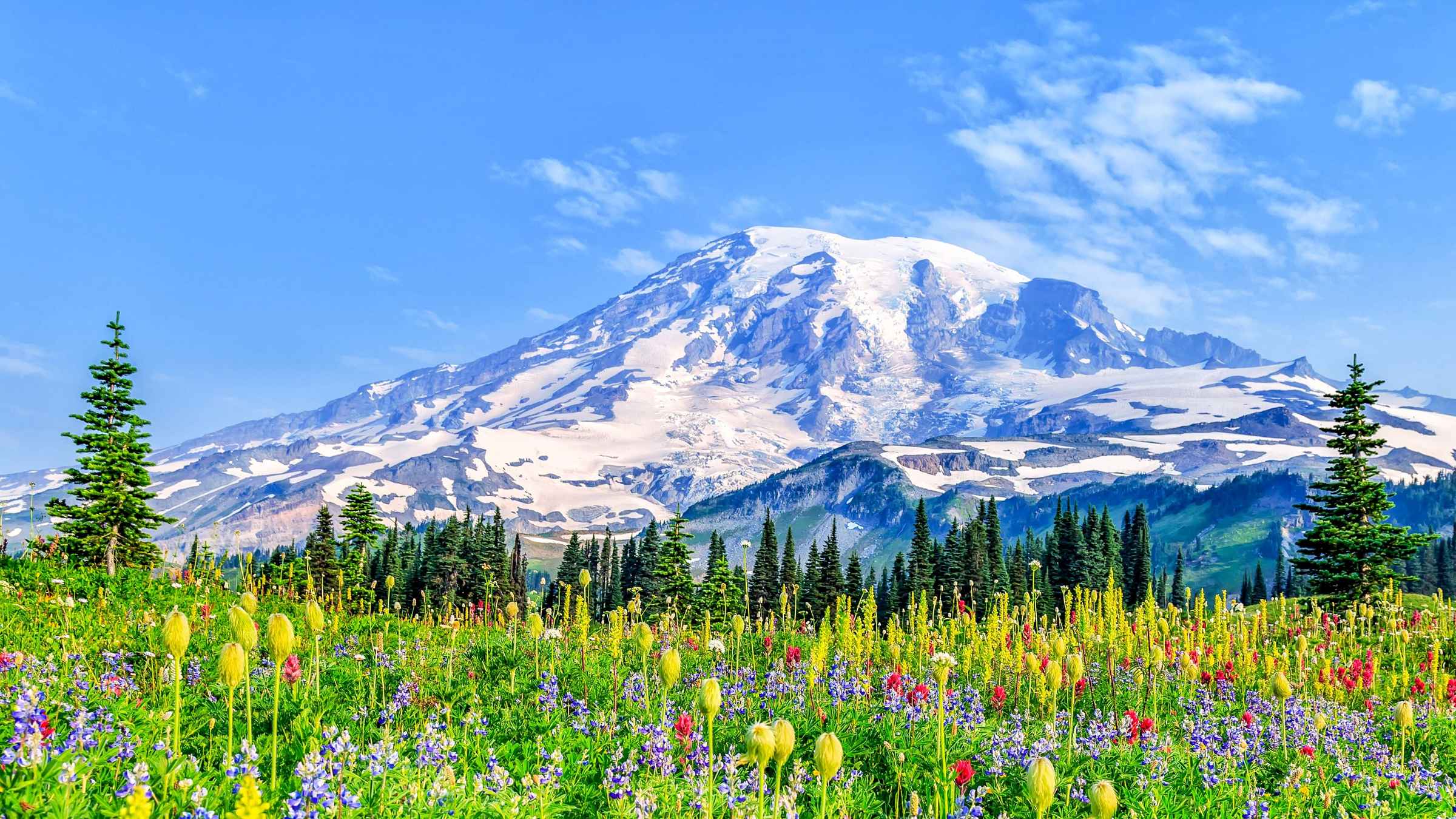 Mount Rainier National Park Washington State Book Tickets Tours Mount Rainier National Park Washington State Book Tickets Tours