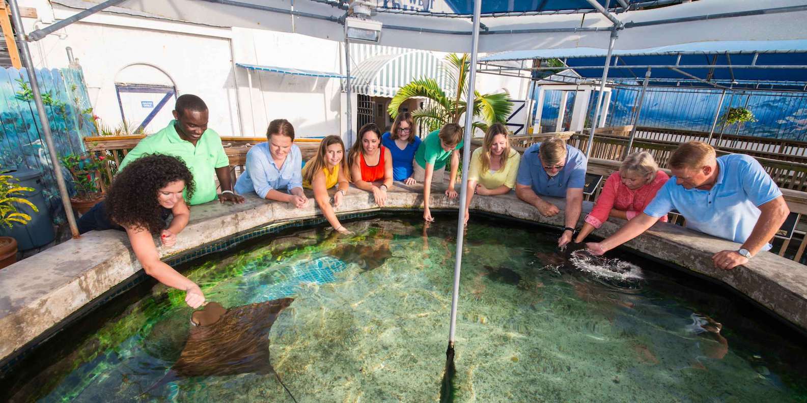 Key West Aquarium Key West Book Tickets Tours GetYourGuide   99 