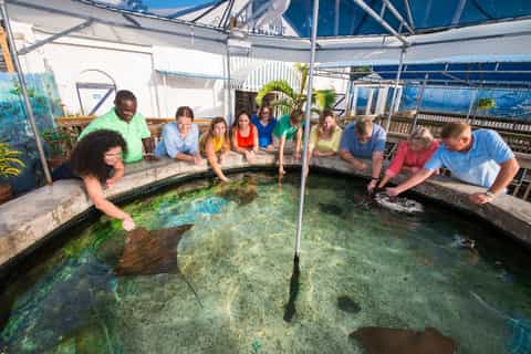 Key West Aquarium Key West Book Tickets Tours GetYourGuide