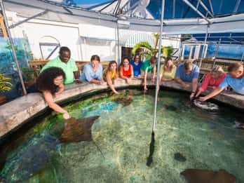Tour e Biglietti per la Key West Aquarium