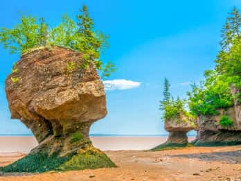 The Best Nova Scotia Tours And Things To Do In 2023 - Free Cancellation 