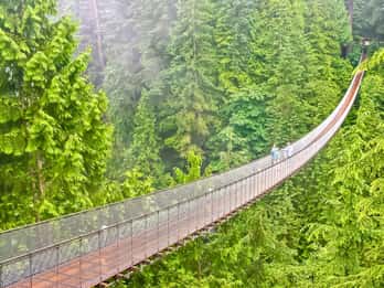 Pont suspendu Capilano Pont suspendu Capilano
