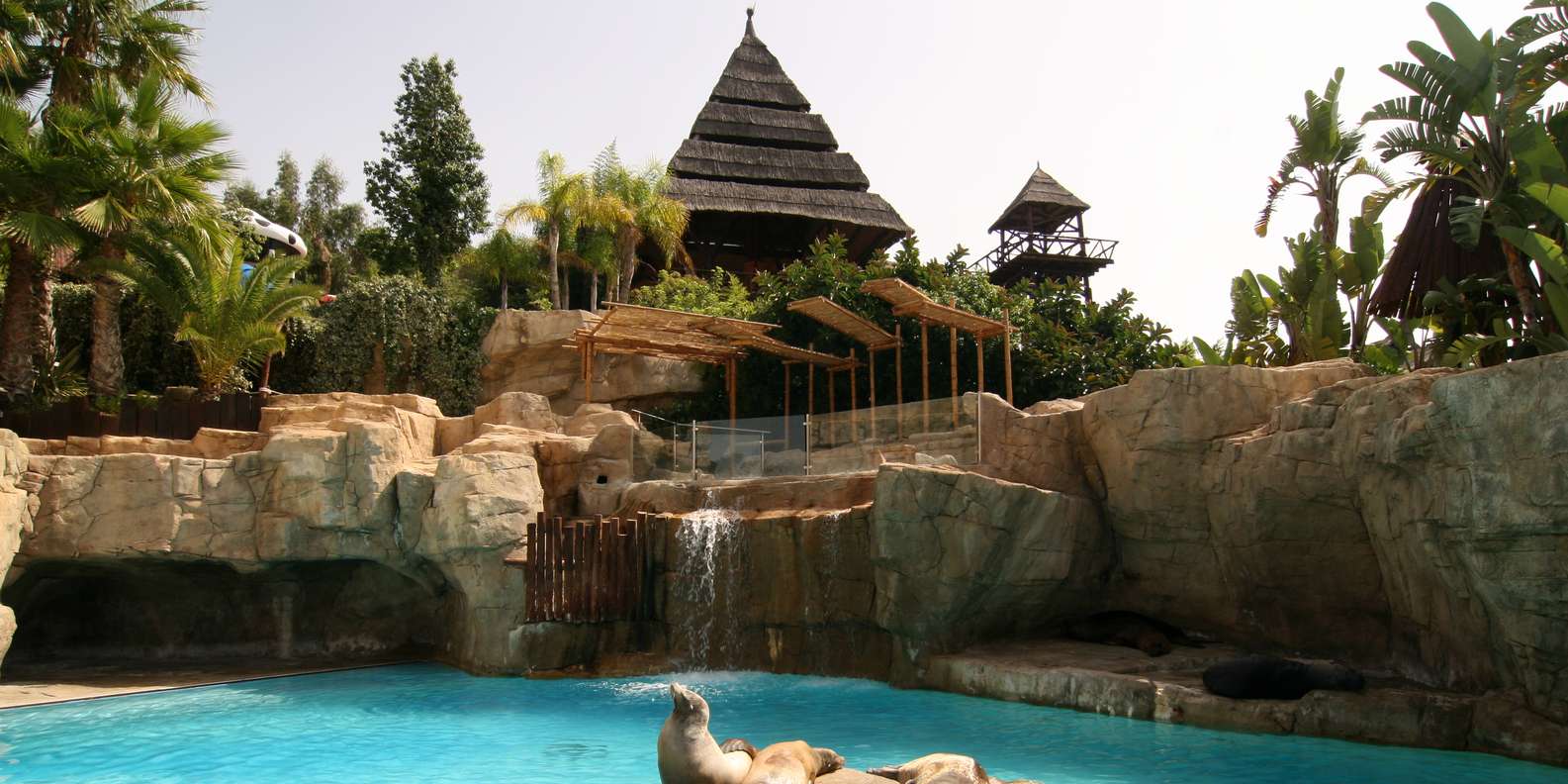The BEST Mundomar Benidorm Zoos & aquariums 2023 FREE Cancellation