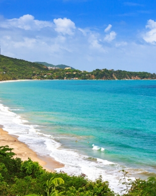 The BEST Puerto Rico Tours and Things to Do in 2024 - FREE Cancellation ...