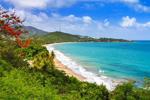 Puerto Rico: Snorkeling