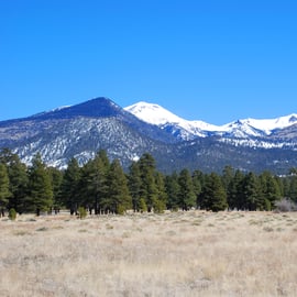 The BEST Flagstaff Tours and Things to Do in 2023 - FREE Cancellation ...