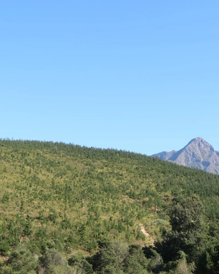 Marloth Park