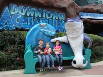 Downtown Aquarium Touren & Tickets