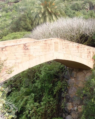 Jardín Botánico Canario Viera y Clavijo