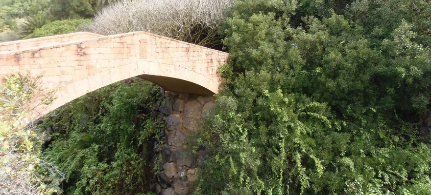 Jardín Botánico Canario Viera y Clavijo