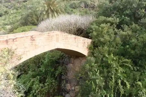 9. Jardín Botánico Canario Viera y Clavijo