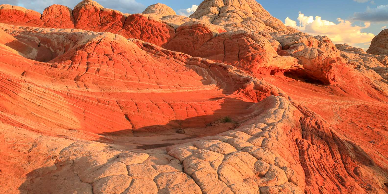 Dagtrip vanuit Vermilion Cliffs National Monument GetYourGuide