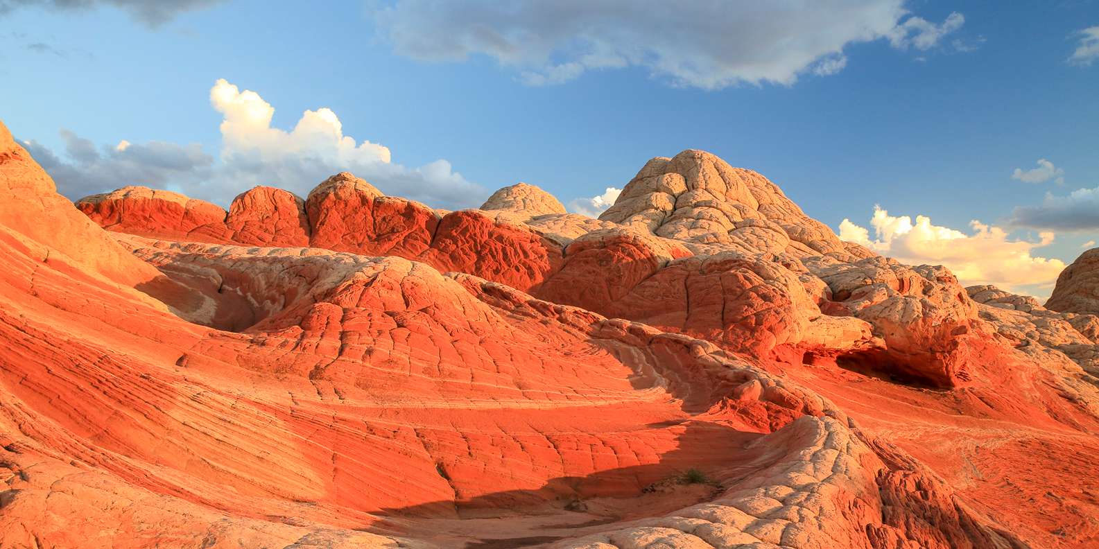 Vermilion Cliffs National Monument Mangiare e bere: il MEGLIO del 2024 ...