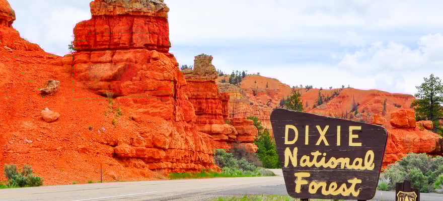 Dixie National Forest