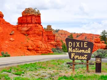 Dixie National Forest Tours & Tickets
