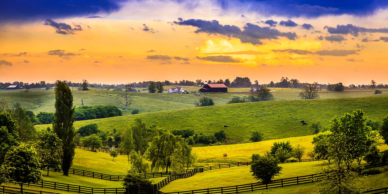 Kentucky Die BESTEN Sehenswürdigkeiten und Aktivitäten 2023