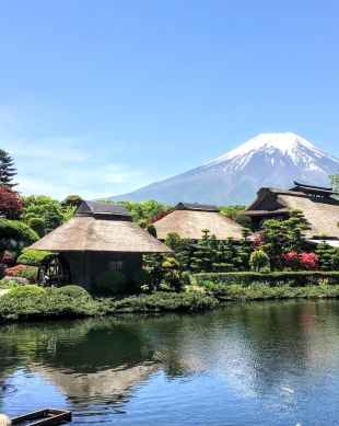 富士箱根伊豆国立公园, 箱根- 预订门票和游览| GetYourGuide