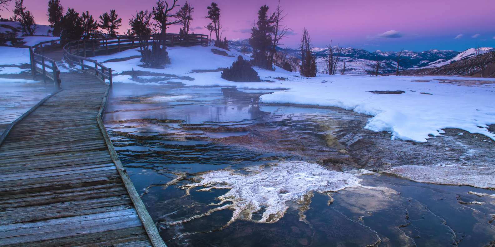 De BESTE Winteractiviteiten In National Elk Refuge Van 2023 GRATIS   99 