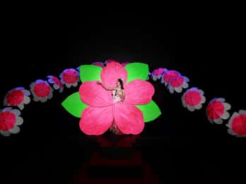Siam Dragon Show: Tours y Entradas