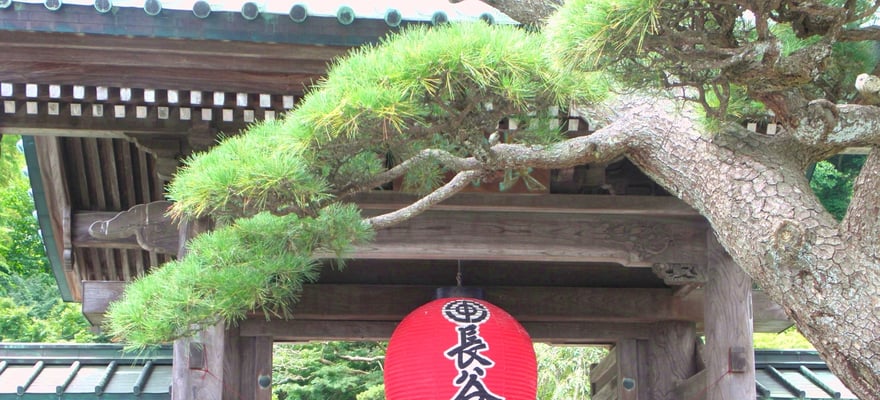 Hasedera, Kamakura Tickets & Eintrittskarten GetYourGuide