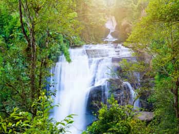 Doi Inthanon National Park Tours & Tickets