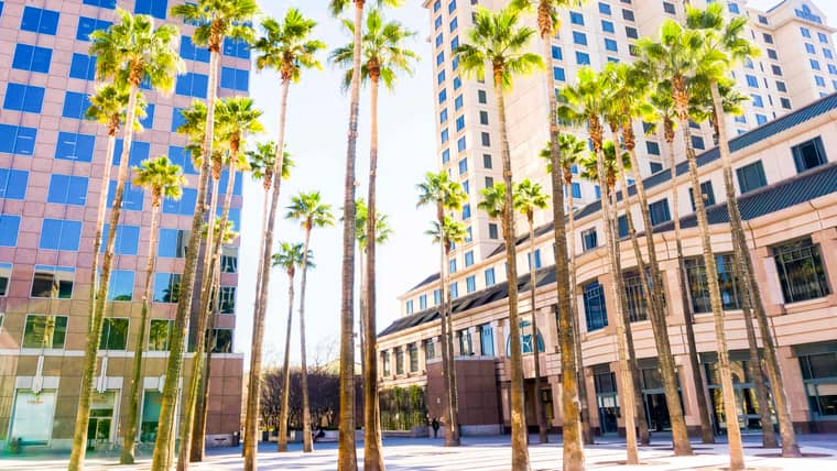 Best Activities in San Jose