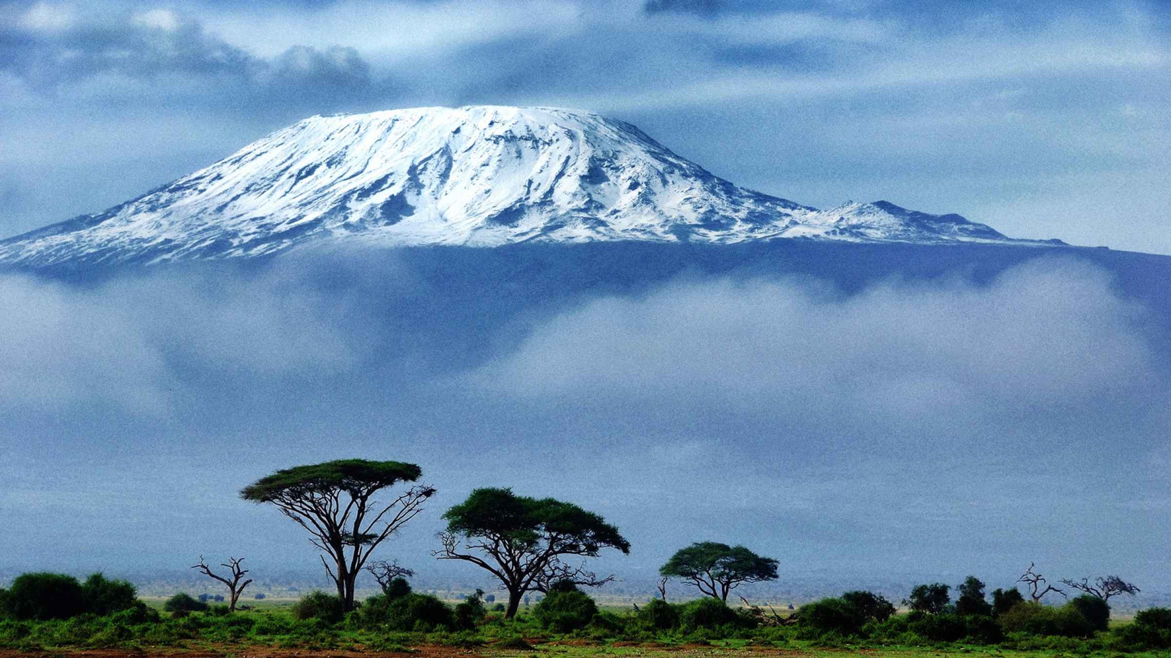 Parc national du Kilimandjaro : Trekking - le MEILLEUR de 2022 ...