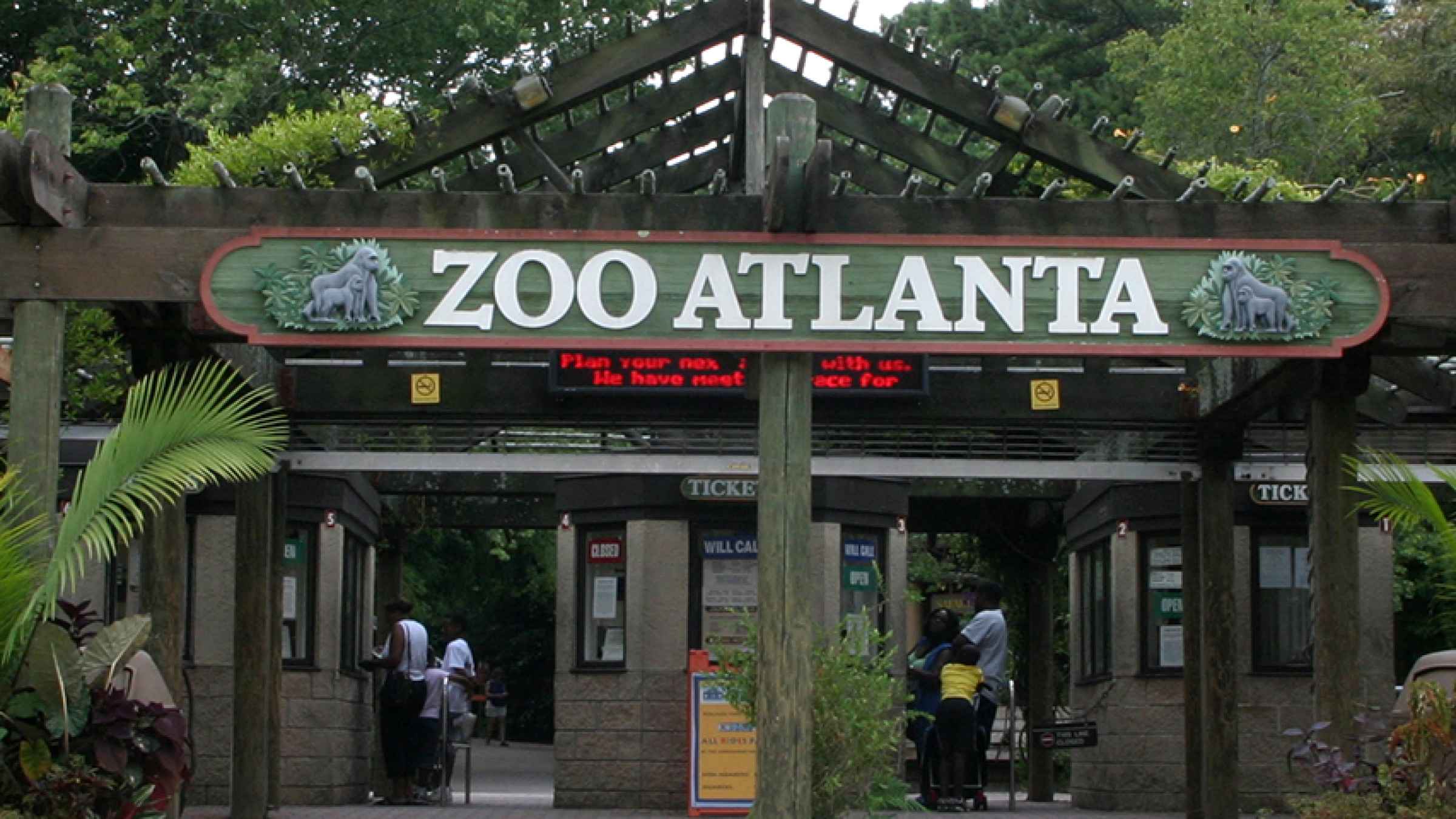 Zoo Atlanta in Atlanta bezoeken? Nu tickets boeken! | GetYourGuide