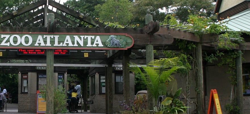 Zoo Atlanta, Atlanta - Book Tickets & Tours | GetYourGuide