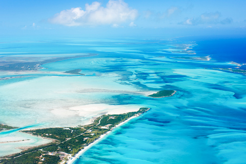 Bahamas: Safaris & wildlife activities