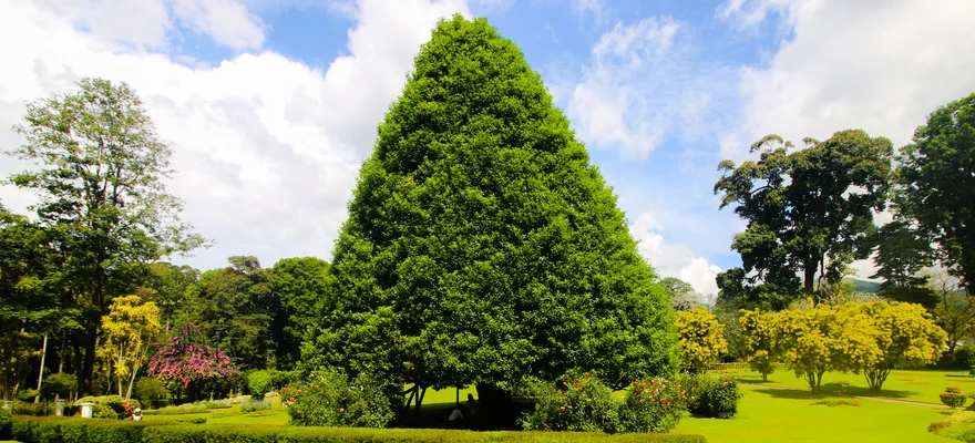 Royal Botanic Gardens, Kandy