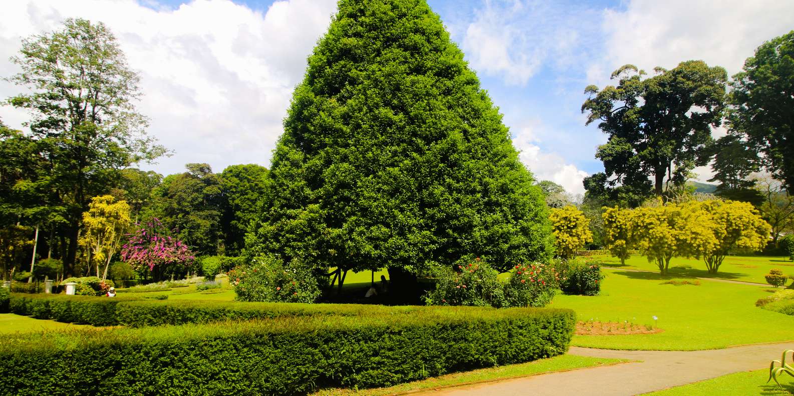 BESTE Nationalparks Königlicher Botanischer Garten Peradeniya 2023