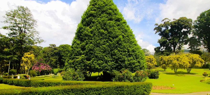 Jardin botanique de Peradeniya