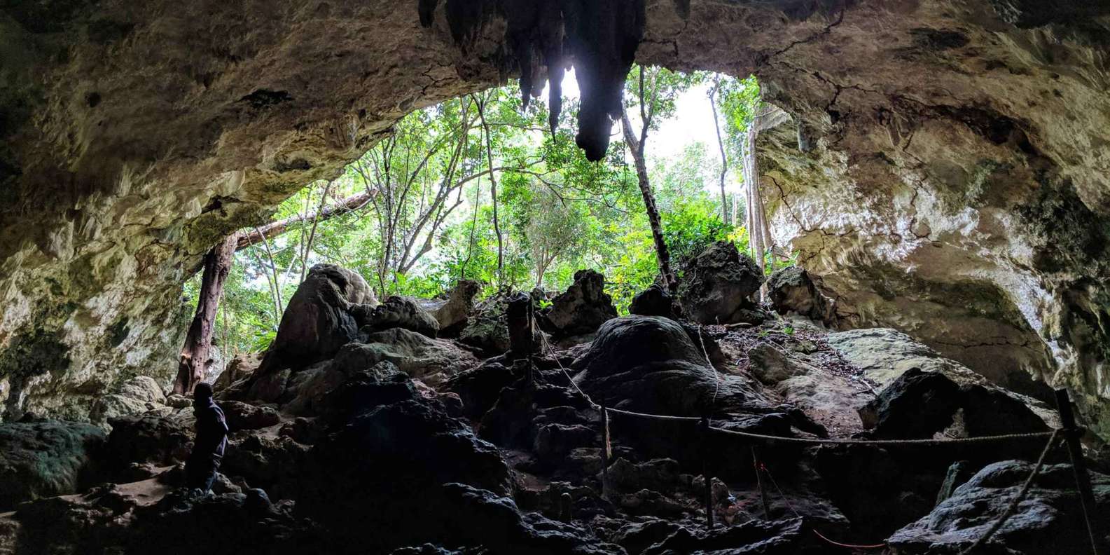 De Beste Zwemmen Met Dolfijnen In Kuza Cave Van Gratis Annuleren