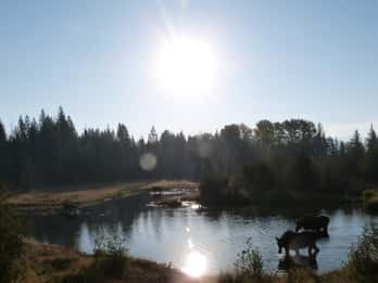 Moose Wilson Road Turer og Billetter