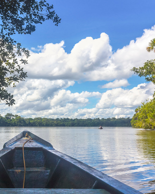 The BEST Madre de Dios Region Tours and Things to Do in 2024 - FREE
