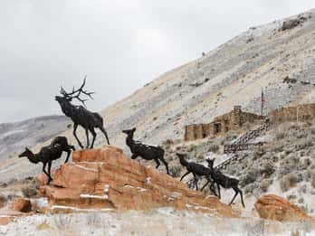 National Museum of Wildlife Art Tours & Tickets