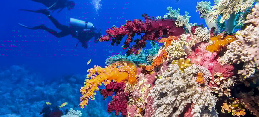 Ambergris Caye