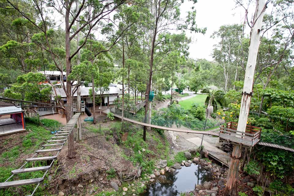 TreeTop Challenge, Tamborine Mountain Book Tickets & Tours GetYourGuide