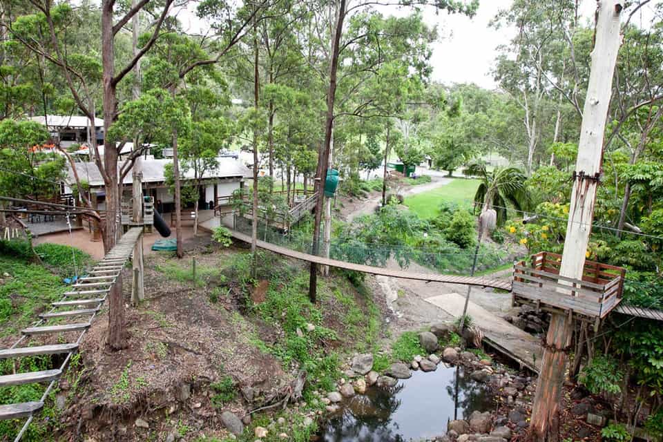 Tamborine Rainforest Skywalk, Tamborine Mountain Book Tickets & Tours