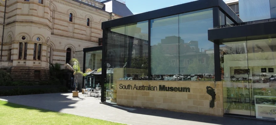 South Australian Museum