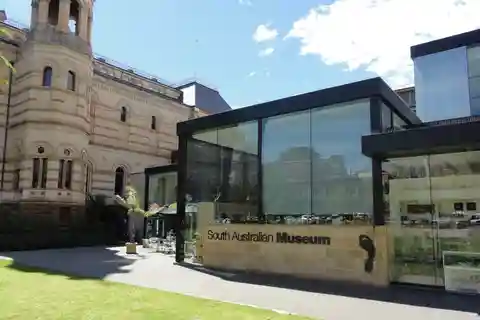 5. South Australian Museum