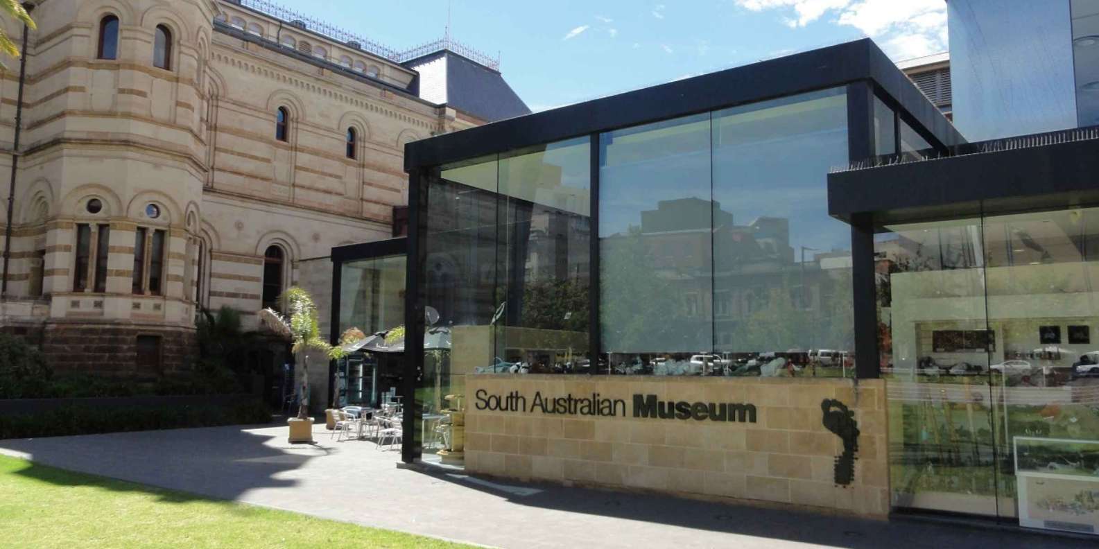 south australian museum tours