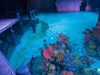 Aquaria Phuket Tours & Tickets