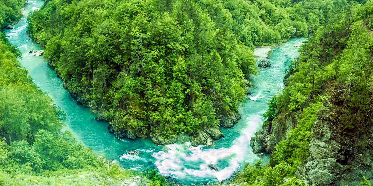 The BEST Tara River Activities For Couples 2023 FREE Cancellation