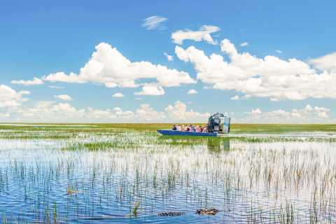 Premium Photo  Swamp landscape under a blue sky on a clear day