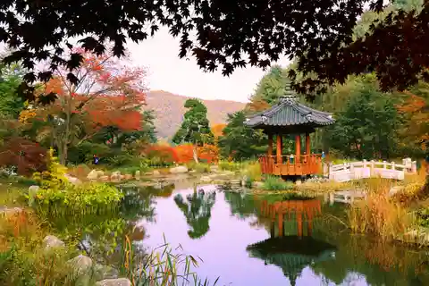 5. Jardin du matin calme