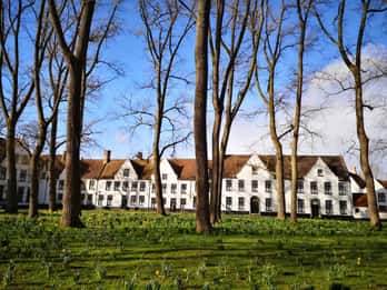Beaterio: Tours y Entradas